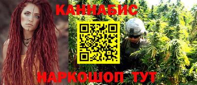 индика Ачхой-Мартан