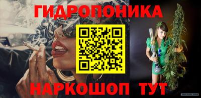 индика Ачхой-Мартан
