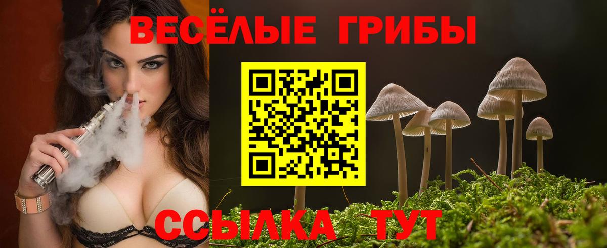 Великий Устюг  Псилоцибиновые грибы GOLDEN TEACHER  Вход с VPN 